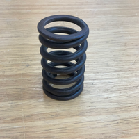 Valve Spring, outer, 300